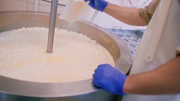 チーズ工場チーズメーカーでミルクミキシング 大型タンクで手作業でチーズをチェック 殺菌チーズ生産チーズ工場 — ストック動画