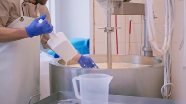 Ανάμειξη Του Γάλακτος Στο Τυροκομείο Ελέγχει Τυρί Ιδιοχείρως Μεγάλη Δεξαμενή — Αρχείο Βίντεο