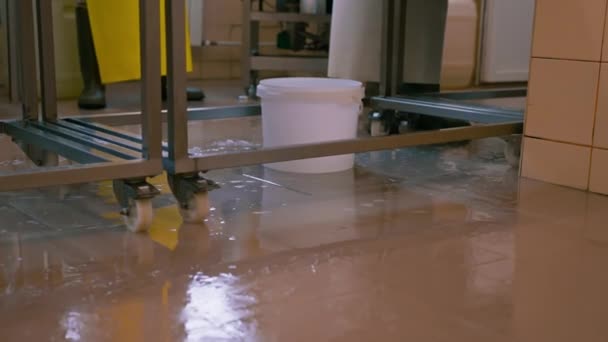 Výroba Brie Sýr Řemeslné Sýrárně Close Syrovátka Kapající Podlahu — Stock video