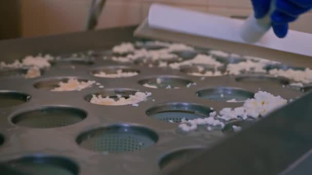 Fromager Verse Fromage Frais Dans Des Moules Fabrication Fromage Brie — Video