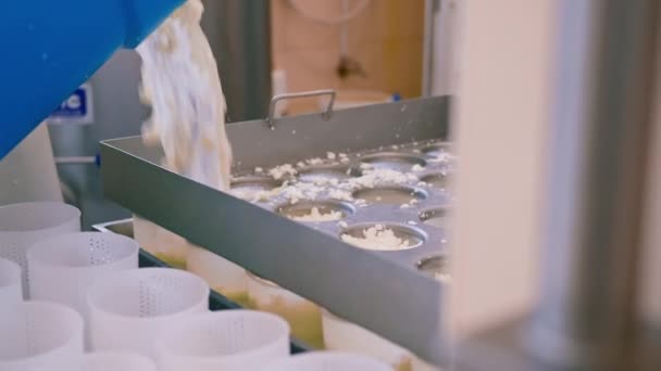 Sýrař Nalévá Čerstvý Sýr Forem Výrobu Sýrových Tvarů — Stock video