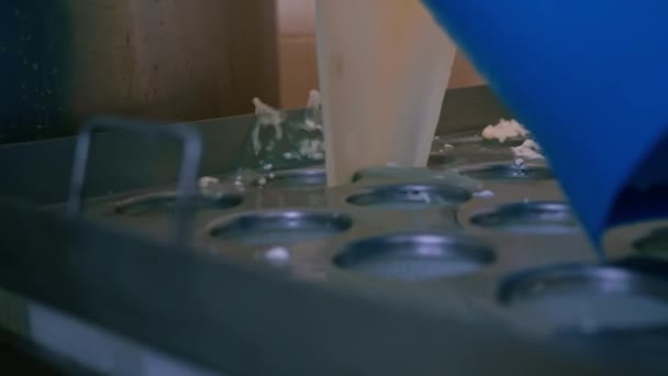 Producent Sera Wlewa Świeży Ser Form Dzięki Czemu Sery Brie — Wideo stockowe