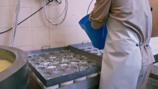 Fabricante Queijo Derrama Queijo Fresco Moldes Que Fazem Brie Queijo — Vídeo de Stock
