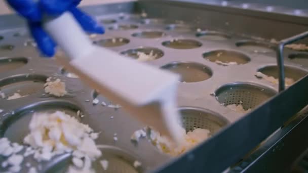 奶酪制造商将新鲜的奶酪倒入模子中 制成奶油奶酪工艺奶酪 — 图库视频影像