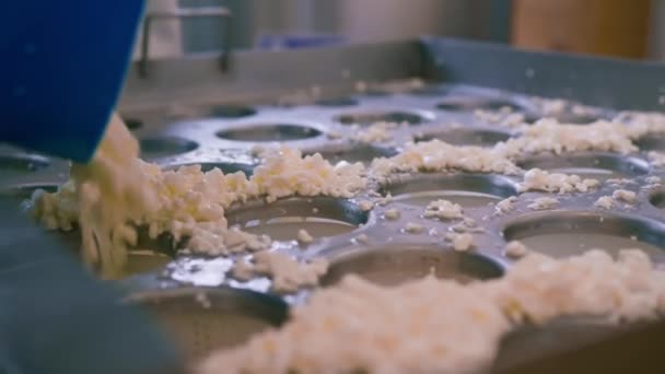Formaggio Maker Versa Formaggio Fresco Stampi Rendendo Brie Formaggio Artigianale — Video Stock