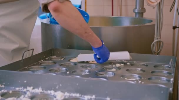 Kaasmaker Giet Verse Kaas Mallen Maken Brie Kaas Ambachtelijke Kaasproductie — Stockvideo