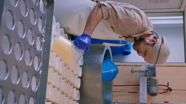 Fabricante Queijo Derrama Queijo Fresco Moldes Que Fazem Brie Queijo — Vídeo de Stock