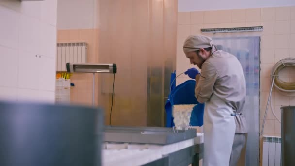 Fabricante Queso Vierte Queso Fresco Moldes Fabricación Queso Brie Producción — Vídeos de Stock