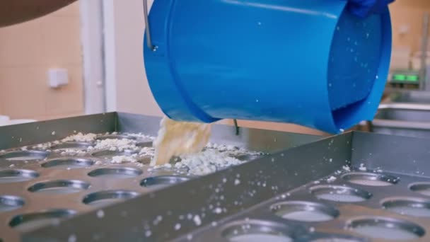 奶酪制造商将新鲜的奶酪倒入模子中 制成奶油奶酪工艺奶酪 — 图库视频影像
