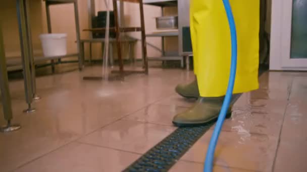 チーズ工場で働く労働者は 職場を掃除するホースプロセスから 床を洗い流します — ストック動画