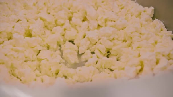 Заполнение Форм Производства Мягкого Сыра Сырные Заготовки Пропитаны Рассолом — стоковое видео