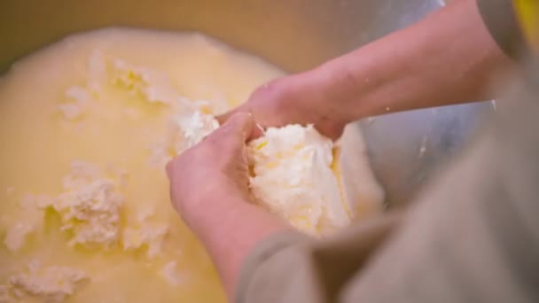 Produzione Formaggi Latte Casaro Preleva Mozzarella Bianca Vaschetta Metallica Alta — Video Stock