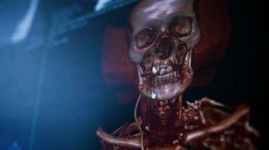 Beynin bilgisayar tomografisi ekrandaki görüntünün 3 boyutlu görüntüsü klinikte ağız boşluğu hastalığıyla karşı karşıya.