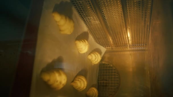 在烘焙糕点和面包面食产品的烤箱中烘焙美味的羊角面包 — 图库视频影像