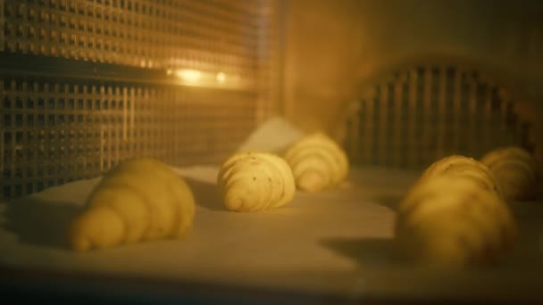 Croissants Luscious São Cozidos Forno Padaria Massa Folhada Produção Produtos — Vídeo de Stock