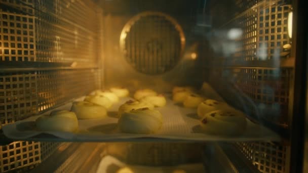 Τραγανά Αρωματικά Ψωμάκια Ψήνονται Στο Φούρνο Στην Παραγωγή Αρτοσκευασμάτων Ζαχαροπλαστικής — Αρχείο Βίντεο