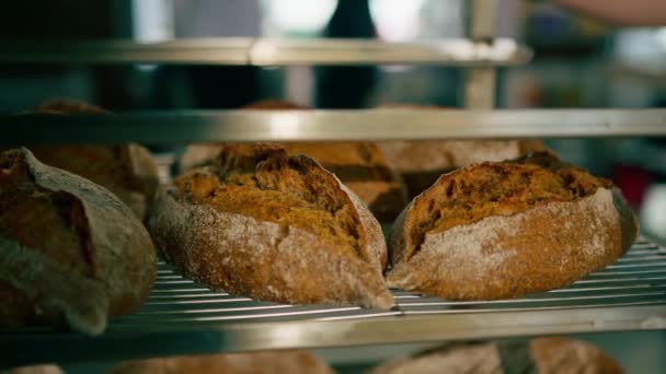Piekarnia Świeży Pachnący Chleb Leży Półkach Produktów Rzemieślniczych Produkcji Mąki — Wideo stockowe
