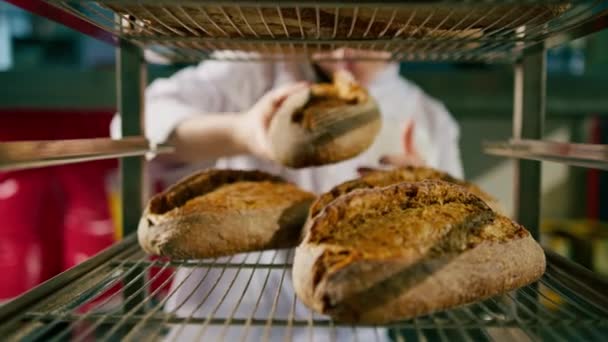 Attraktiv Kvinnlig Bagare Mellan Hyllor Ser Och Kontrollera Nybakat Bröd — Stockvideo