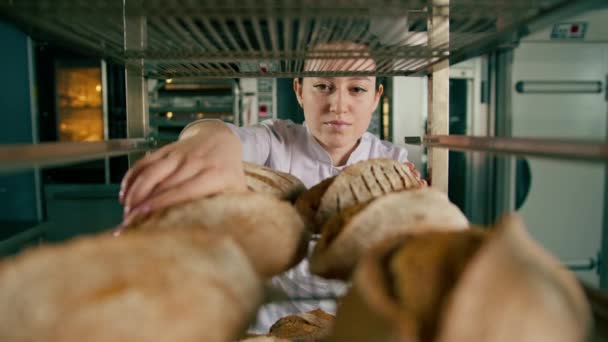 Aantrekkelijk Vrouwelijk Bakker Tussen Planken Kijken Controleren Vers Gebakken Brood — Stockvideo