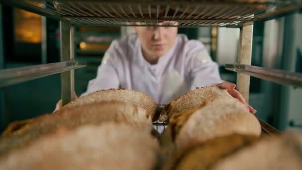Atrakcyjne Kobiety Piekarz Między Półkami Patrząc Sprawdzając Świeżo Pieczony Chleb — Wideo stockowe
