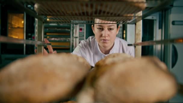 Atrakcyjne Kobiety Piekarz Między Półkami Patrząc Sprawdzając Świeżo Pieczony Chleb — Wideo stockowe