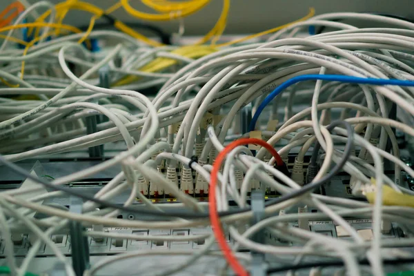 Ein Haufen Patch Netzwerkkabel Sortiert Einem Rack Schrank Der Von — Stockfoto