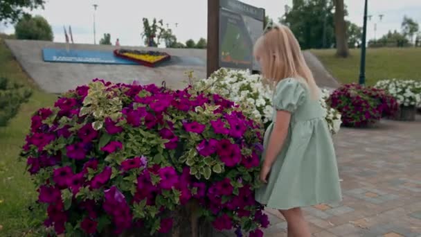 一个穿着绿色夏装 头戴蝴蝶结的可爱小女孩正在公园散步 嗅着儿时的鲜花 — 图库视频影像