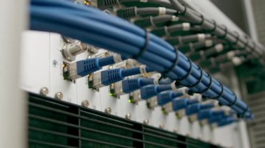 Bir veri merkezindeki bir sunucu odasındaki ağ yama kablolarının bir yığın veri iletim fiber optik bilgi teknolojisinin yakın plan görüntüsü
