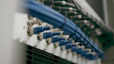 Bir veri merkezindeki bir sunucu odasındaki ağ yama kablolarının bir yığın veri iletim fiber optik bilgi teknolojisinin yakın plan görüntüsü