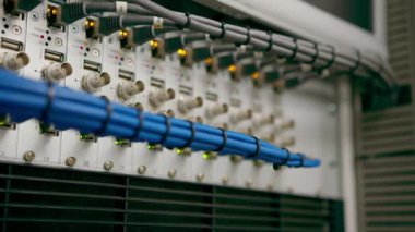 Bir veri merkezindeki bir sunucu odasındaki ağ yama kablolarının bir yığın veri iletim fiber optik bilgi teknolojisinin yakın plan görüntüsü