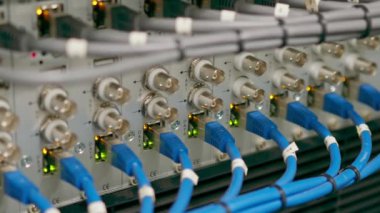 Bir sürü yama ağı kablosu veri merkezi internet depolama odasındaki bir sunucu rafındaki yama panelinden sıralanmış.