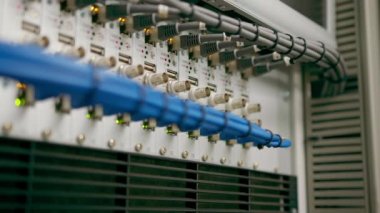 Bir veri merkezindeki bir sunucu odasındaki ağ yama kablolarının bir yığın veri iletim fiber optik bilgi teknolojisinin yakın plan görüntüsü