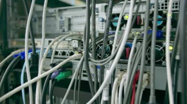 Bir veri merkezindeki sunucu rafındaki yama panelinden bir raf dolusu ağ yama kablosunun sıralanması