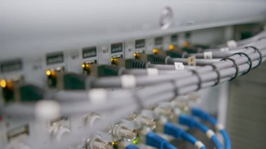 Bir veri merkezindeki bir sunucu odasındaki ağ yama kablolarının bir yığın veri iletim fiber optik bilgi teknolojisinin yakın plan görüntüsü
