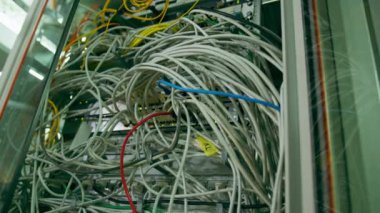 Bir veri merkezindeki sunucu rafındaki yama panelinden bir raf dolusu ağ yama kablosunun sıralanması