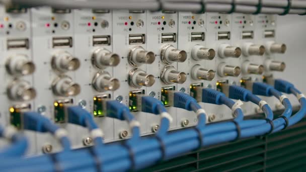 数据中心房间服务器机房内的一组网络贴片电缆的特写数据传输光纤信息技术 — 图库视频影像