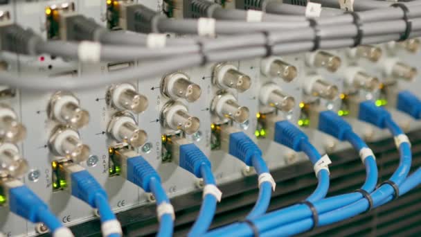 Montón Cables Red Conexión Clasificados Gabinete Rack Que Conduce Desde — Vídeos de Stock