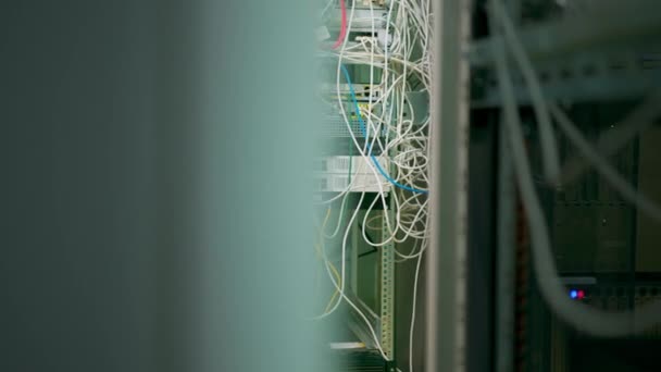 从数据中心房间互联网云量存储的服务器机架上的补丁面板中排序到机架机柜中的一堆补丁网络电缆 — 图库视频影像