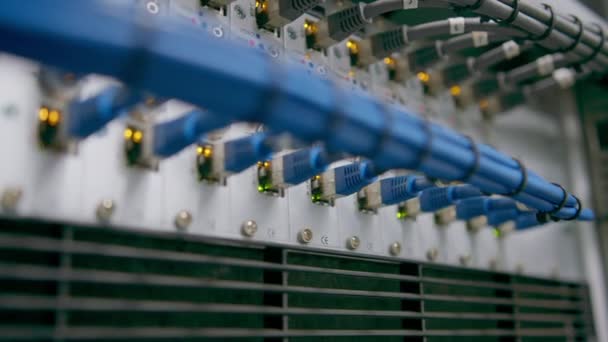 データセンタールームのサーバールーム内のネットワークパッチケーブルのパイルのクローズアップ データ伝送光ファイバー情報技術 — ストック動画