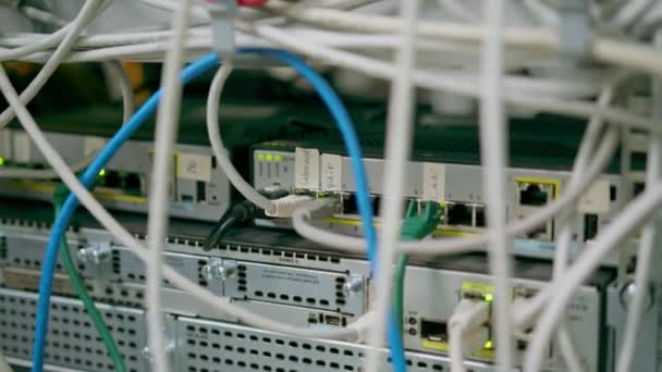 数据中心房间服务器机房内的一组网络贴片电缆的特写数据传输光纤信息技术 — 图库视频影像