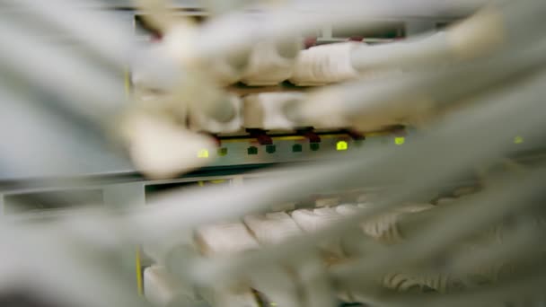 从数据中心机架上的补丁板到机柜中排序的一组网络补丁电缆的特写 — 图库视频影像