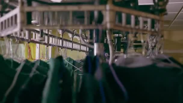 Промышленная Прачечная Отеле Чистые Рубашки Сотрудников Гостей Сортируются После Стирки — стоковое видео