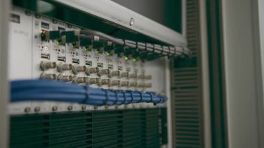 Bir veri merkezindeki bir sunucu odasındaki ağ yama kablolarının bir yığın veri iletim fiber optik bilgi teknolojisinin yakın plan görüntüsü