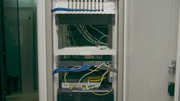 Close Pile Network Patch Cables Server Room Data Center Room — Stock Video