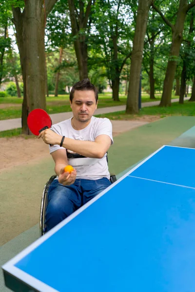Inclusiveness Disabled Man Wheelchair Plays Ping Pong City Park Backdrop — Stock Photo, Image