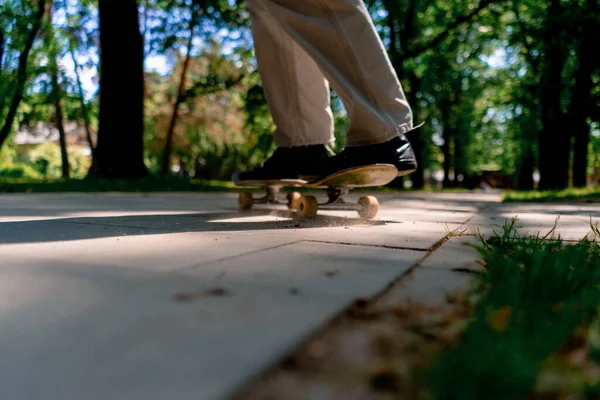 나무와 클로즈업의 배경에 공원의 경로에 스케이트 보드를 — 스톡 사진