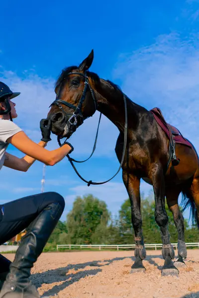 在骑马比赛中 一名戴着头盔的女骑手手牵着她美丽的黑马在马术竞技场上划伤 — 图库照片
