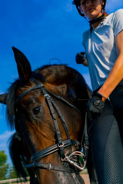Uma Mulher Cavalo Capacete Abraça Arranha Seu Belo Cavalo Preto — Fotografia de Stock