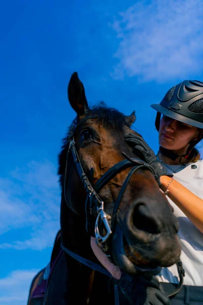 Uma Mulher Cavalo Capacete Abraça Arranha Seu Belo Cavalo Preto — Fotografia de Stock
