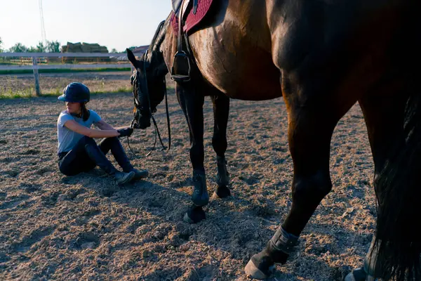 Eine Behelmte Reiterin Füttert Ihr Schönes Schwarzes Pferd Während Eines — Stockfoto